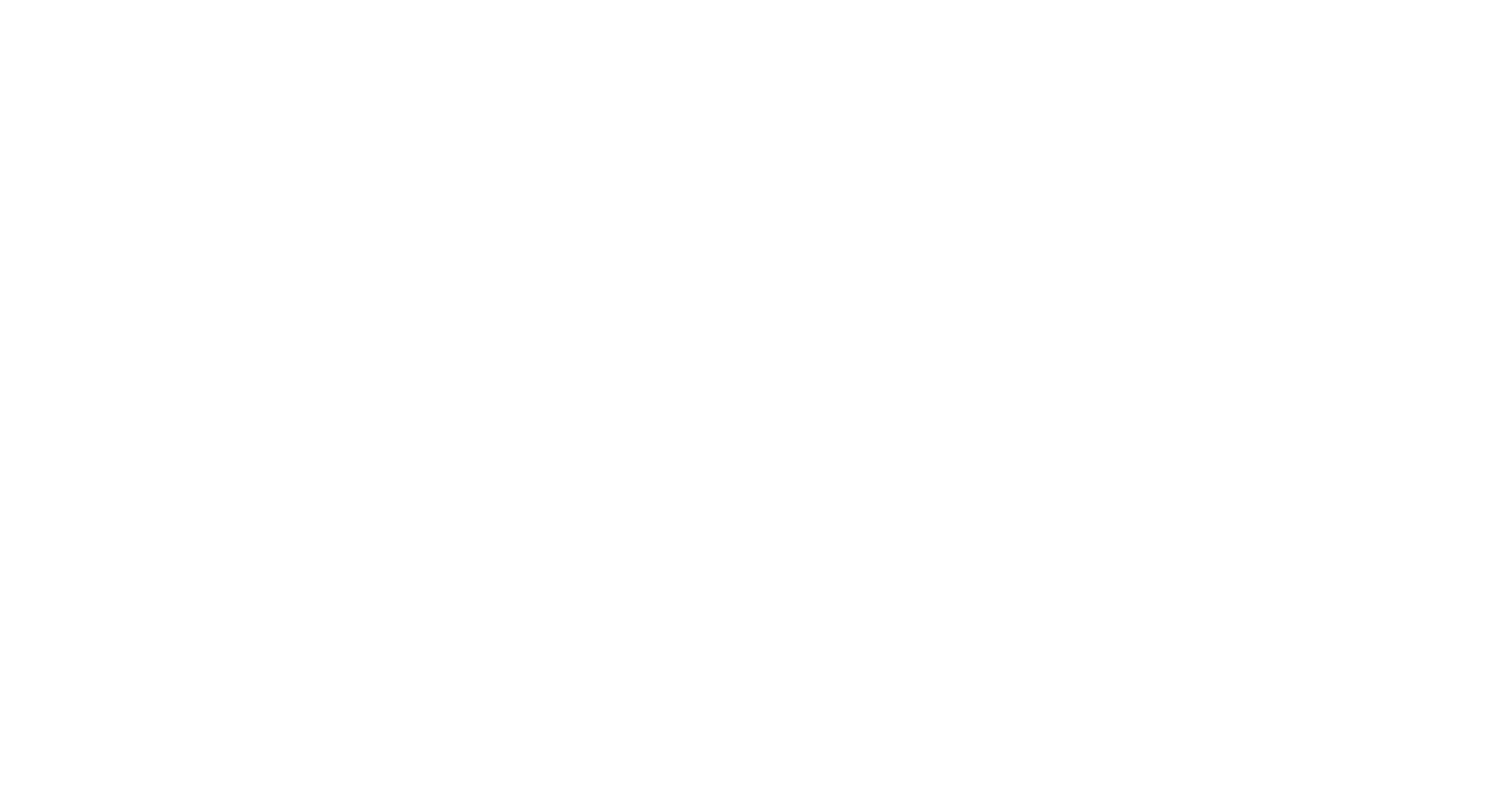 logo blanc hd